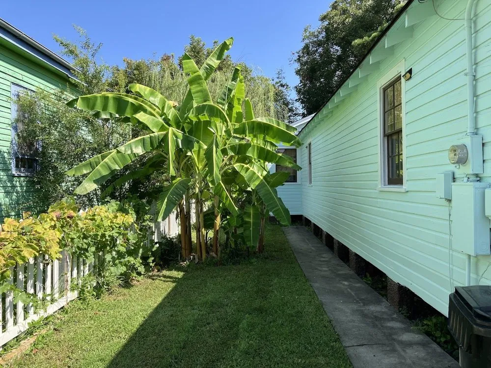 Trusted yard maintenance in New Orleans, LA by Landfill Aversion