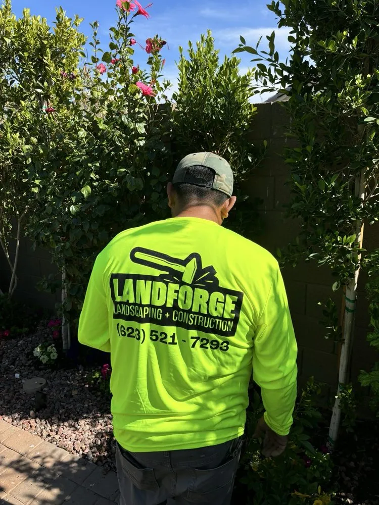 Reliable garden landscaping with custom design across Peoria, AZ - Landforge