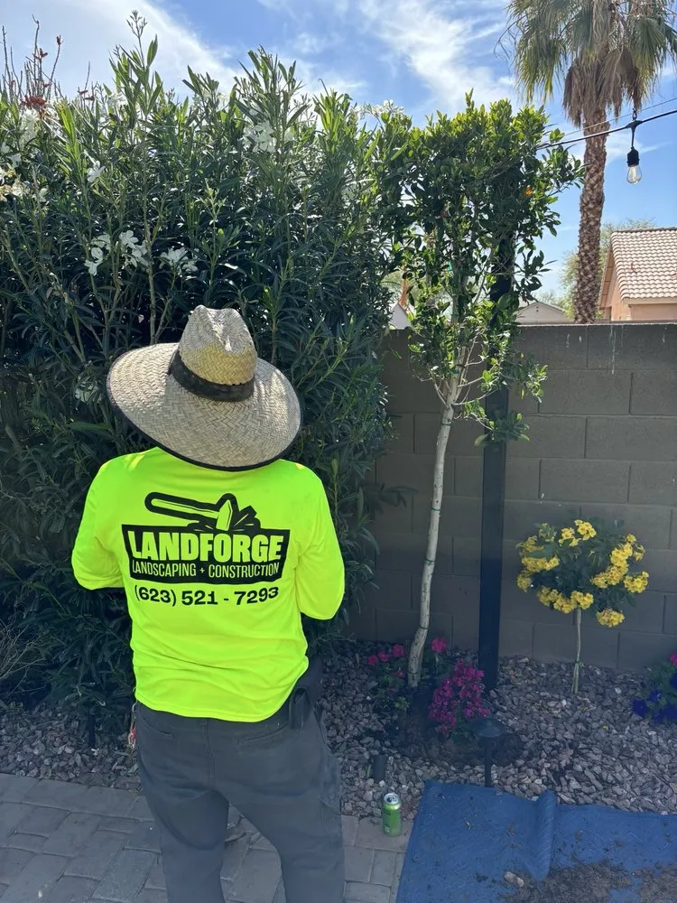 Professional residential landscaping in Peoria, AZ - Landforge