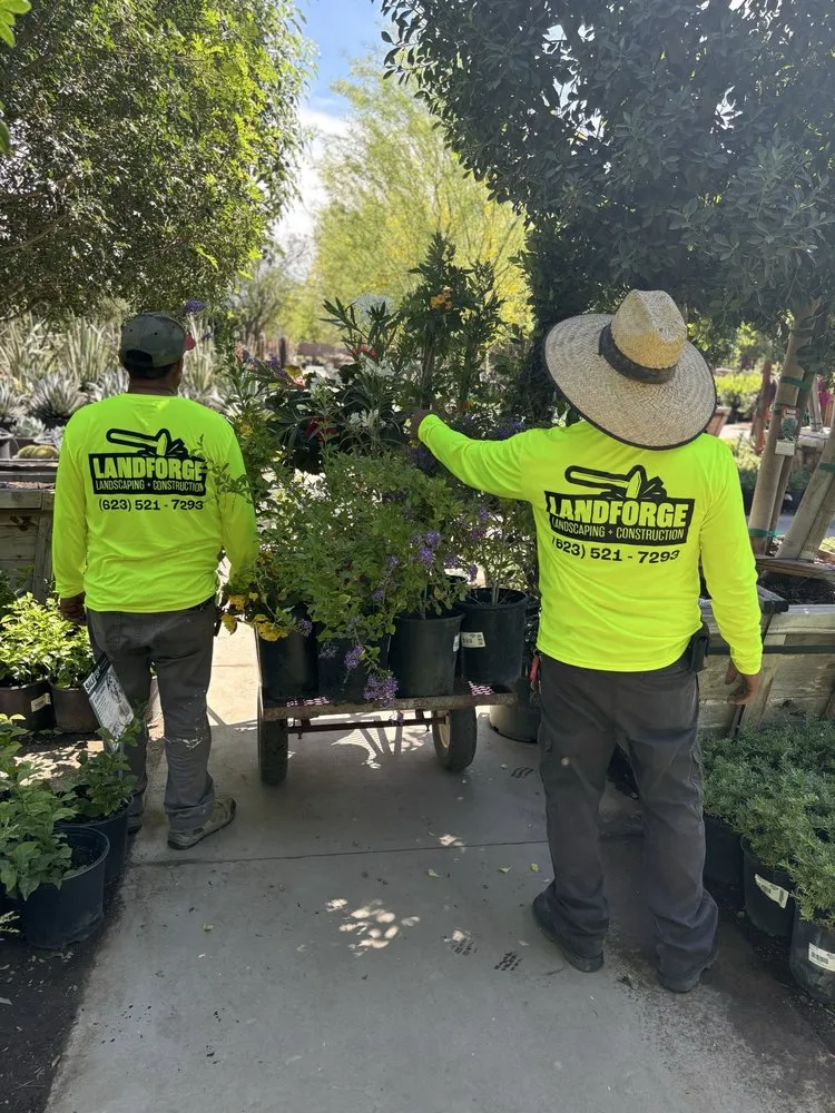 Trusted outdoor landscaping in Peoria, AZ by Landforge