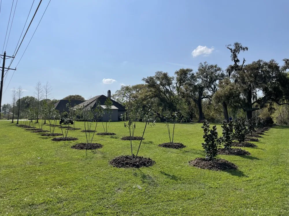 Trusted lawn care service experts serving Lafayette, LA - Landgrave Lawn & Landscaping