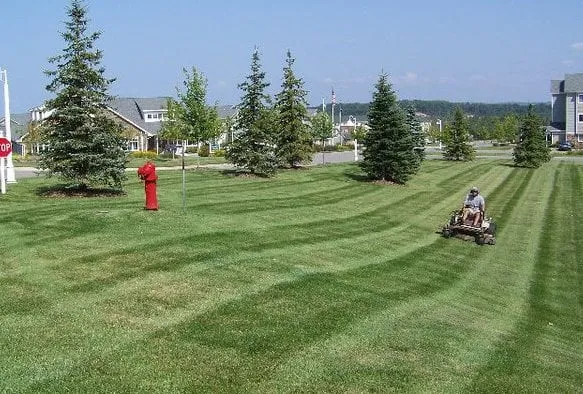 Top-rated landscape design in Traverse City, MI by Landgreen Lawncare