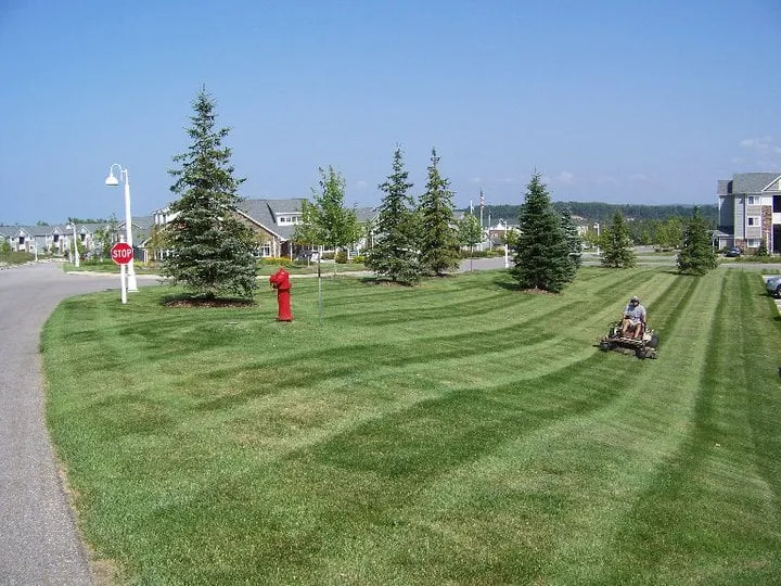 Professional garden landscaping near you across Traverse City, MI - Landgreen Lawncare