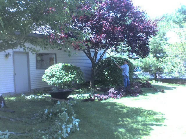 Reliable yard cleanup service in Traverse City, MI - Landgreen Lawncare