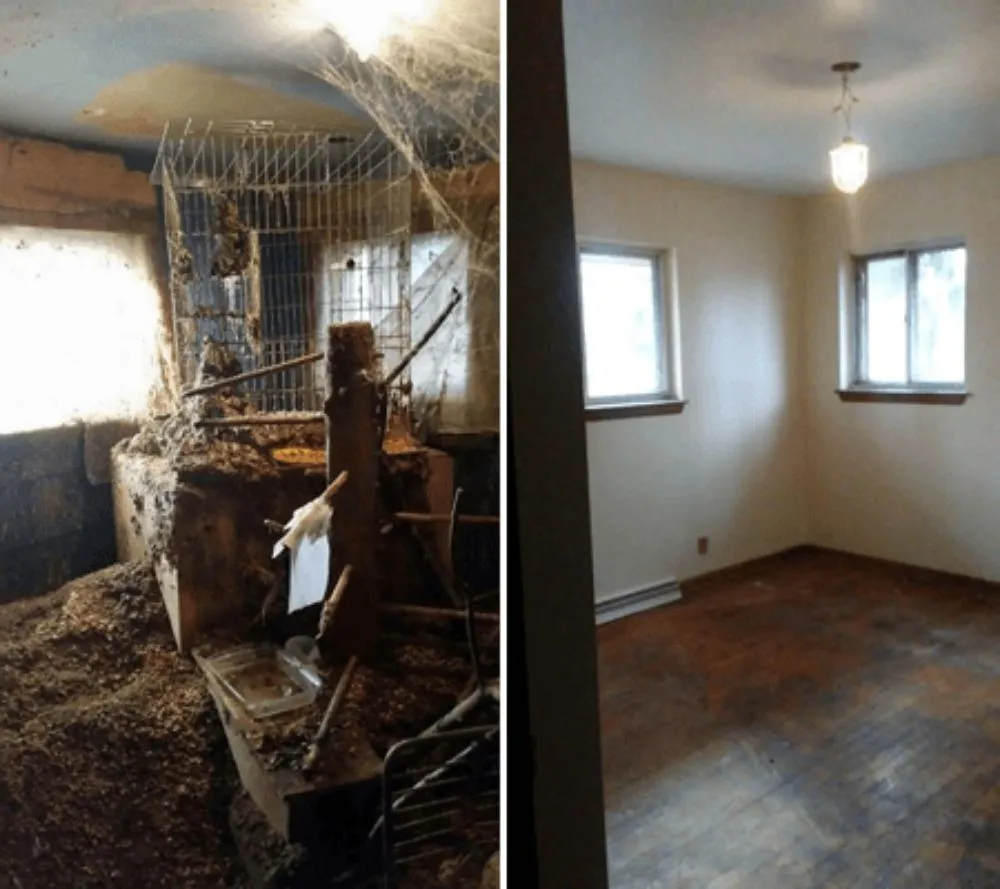 Reliable landscaping services with custom design across Amarillo, TX - LandHand