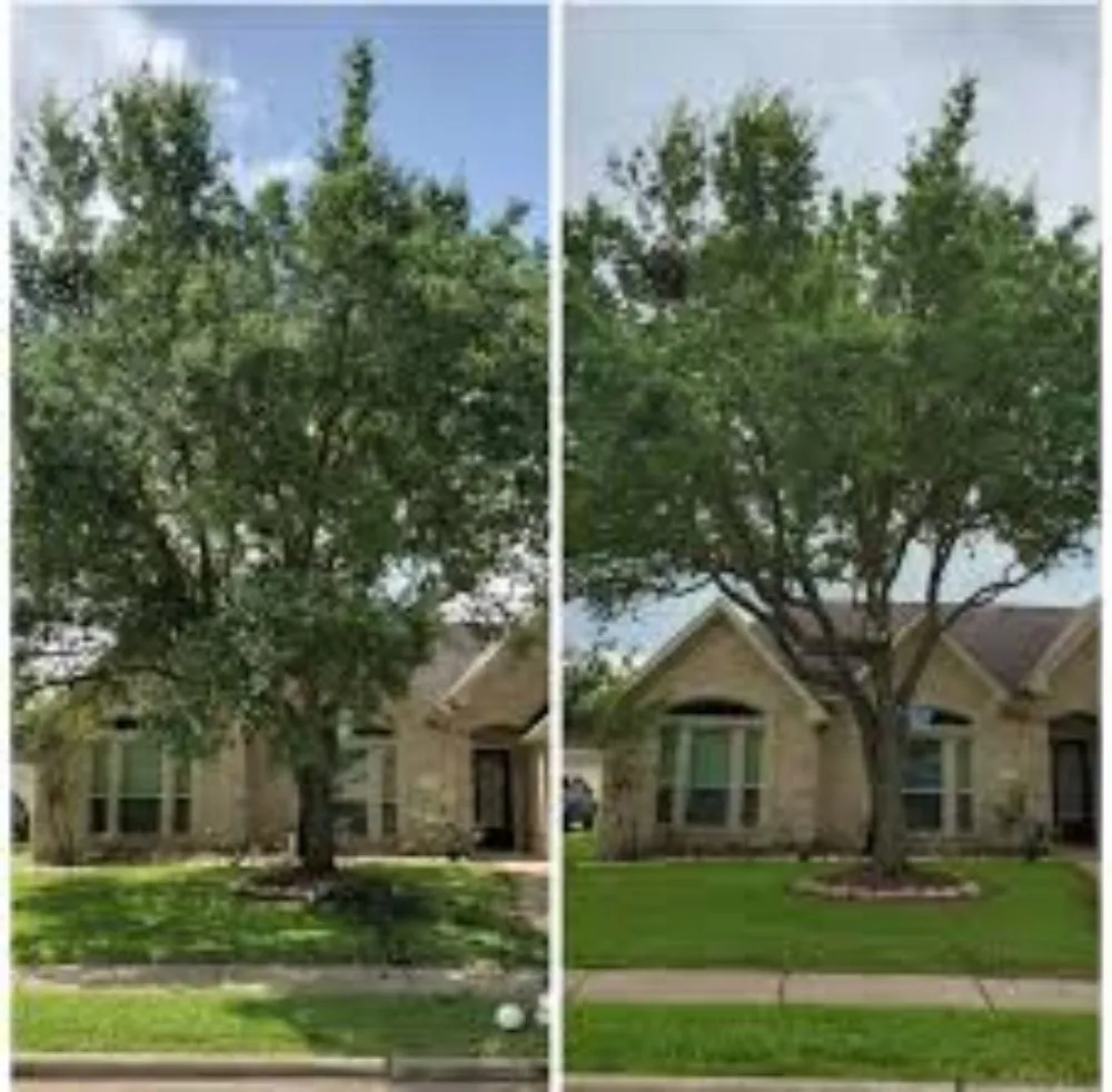 Trusted landscape installation experts serving Amarillo, TX - LandHand