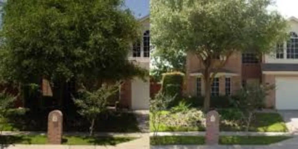 Professional yard maintenance experts serving Amarillo, TX - LandHand