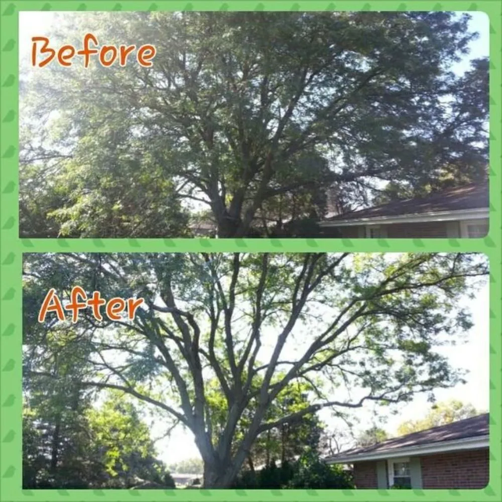 Trusted garden landscaping experts serving Amarillo, TX - LandHand