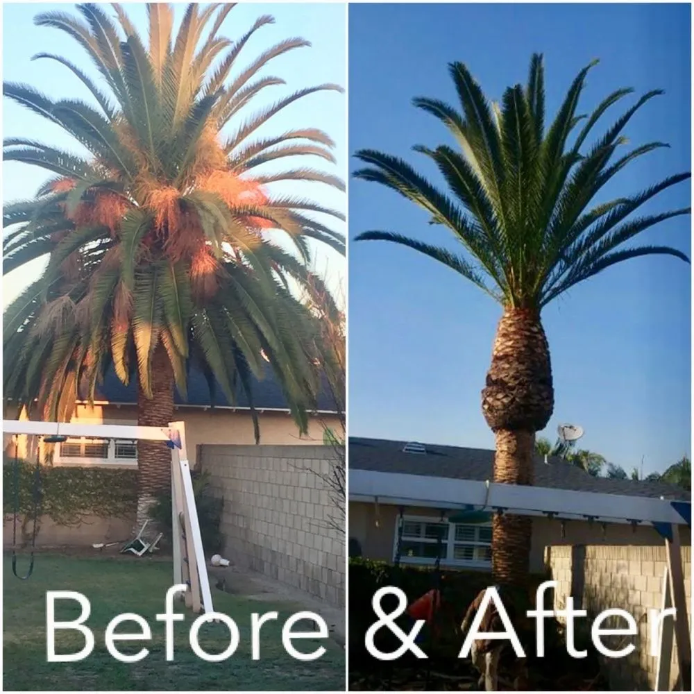 Professional outdoor landscaping in Amarillo, TX by LandHand