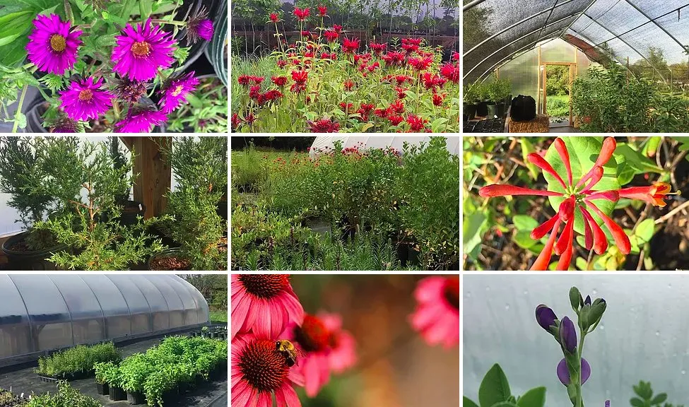 Reliable outdoor landscaping in Philadelphia, PA by LandHealth Institute