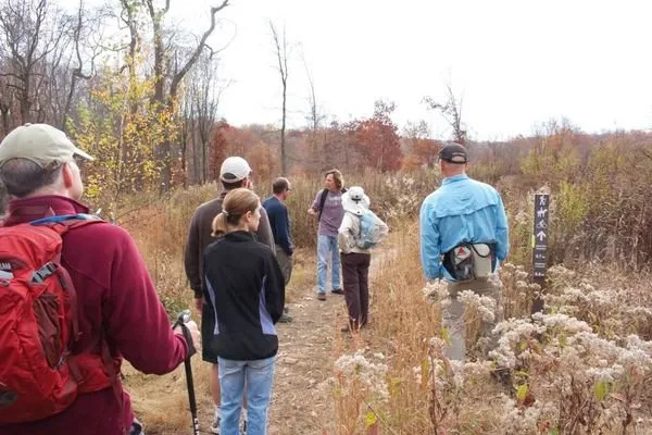 LandHealth Institute Logo