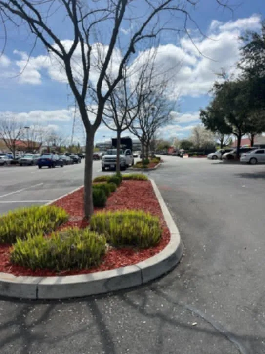 Custom residential landscaping in Carmichael, CA by Landis Landscape & Maintenance