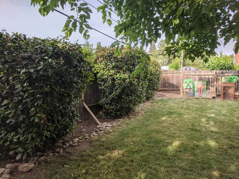 Expert landscape design for homes in Carmichael, CA by Landis Landscape & Maintenance