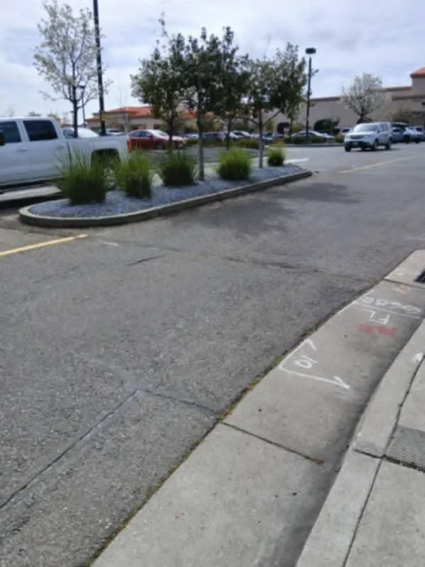 Professional lawn care service near you across Carmichael, CA - Landis Landscape & Maintenance