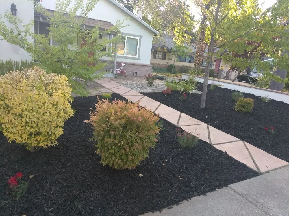 Affordable landscape installation in Carmichael, CA by Landis Landscape & Maintenance