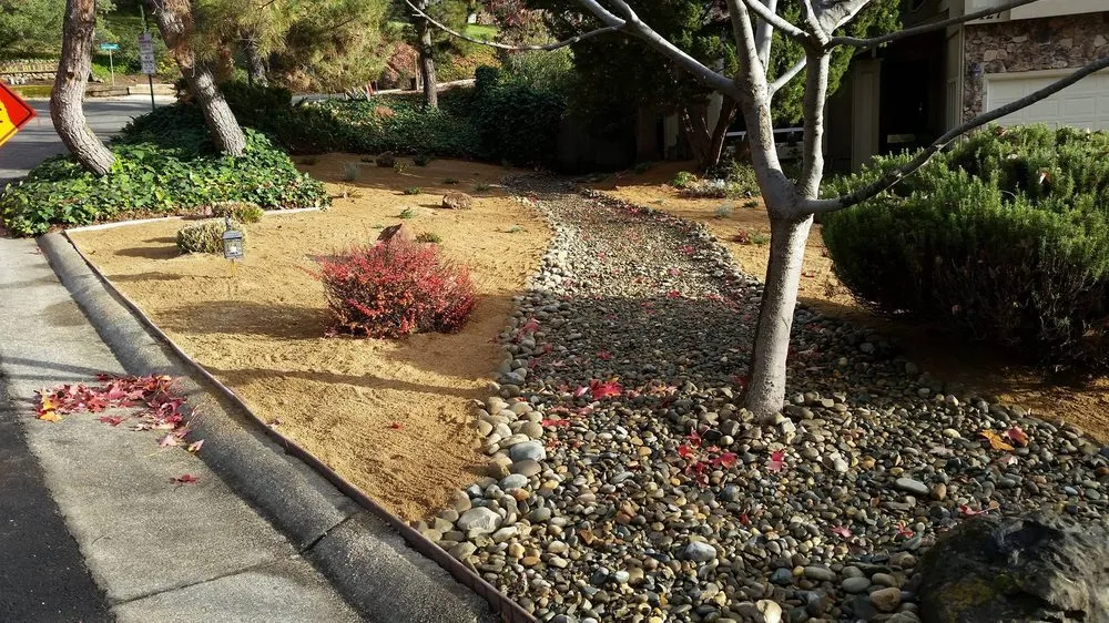 Local yard maintenance for beautiful yards in Carmichael, CA by Landis Landscape & Maintenance
