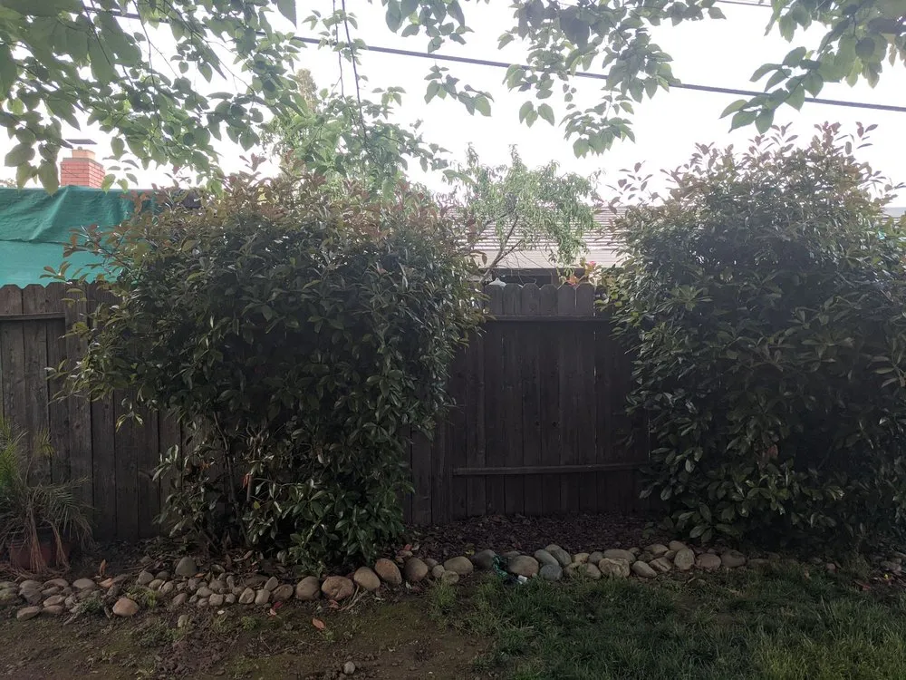 Affordable outdoor landscaping in Carmichael, CA - Landis Landscape & Maintenance