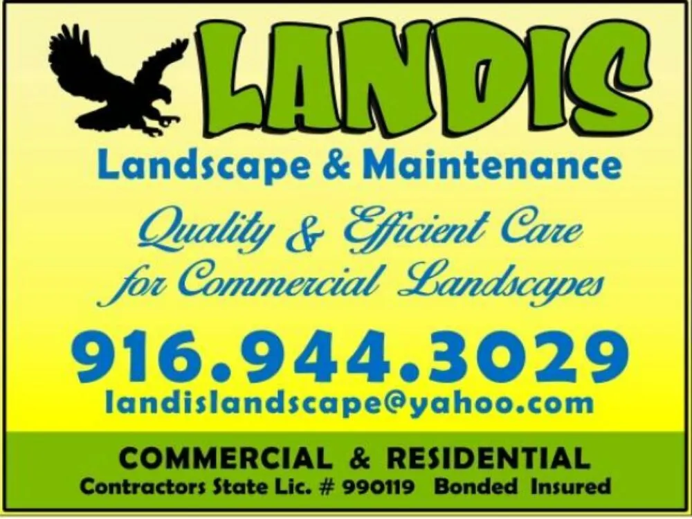 Top-rated yard maintenance experts serving Carmichael, CA - Landis Landscape & Maintenance