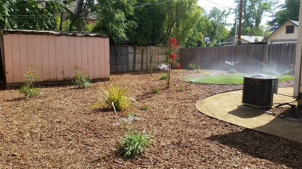 Trusted landscaping services in Carmichael, CA by Landis Landscape & Maintenance