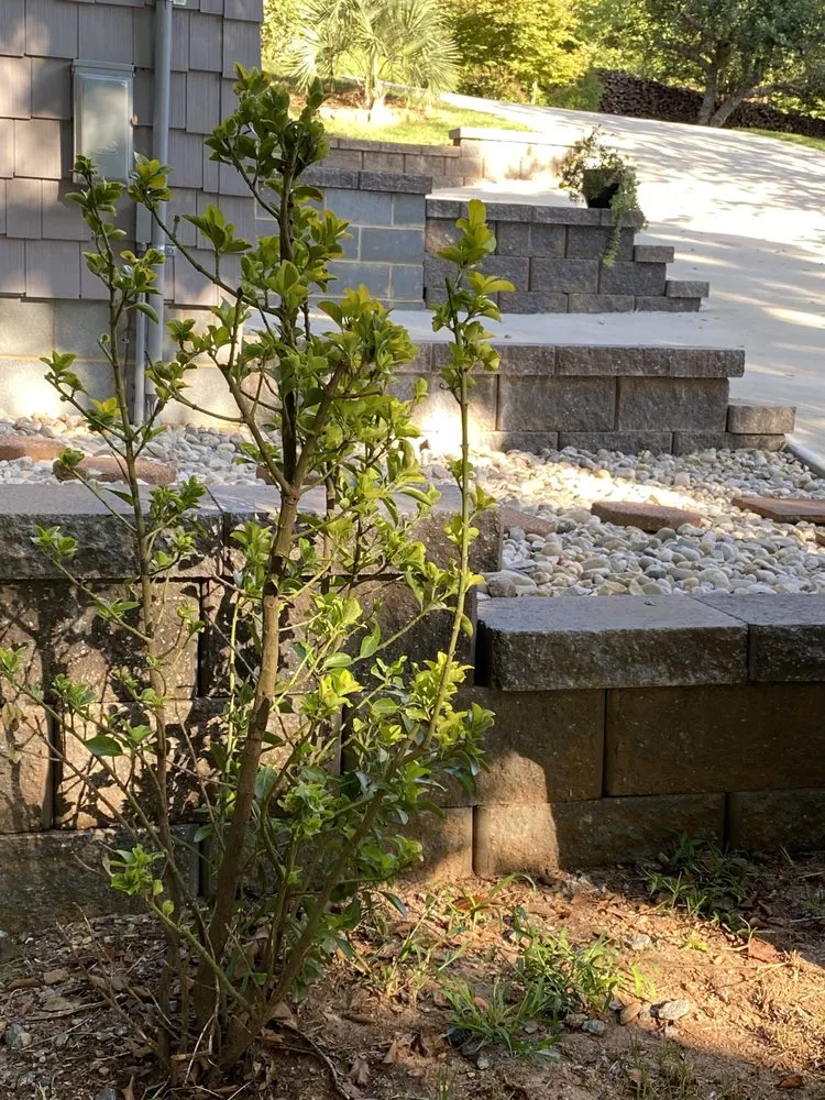 Custom lawn mowing service in Statesville, NC - Landis Tree and RM Landscaping