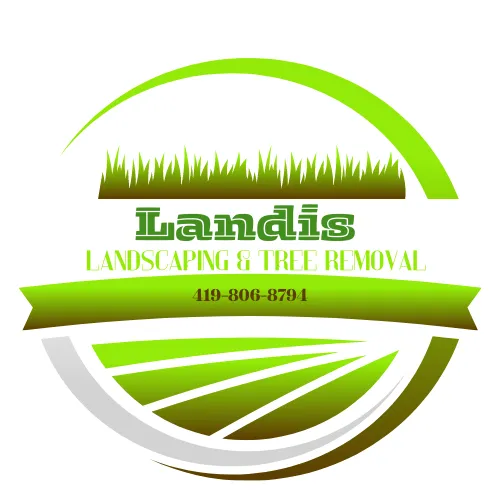 Trusted yard cleanup service in Bowling Green, OH - Landis Tree Removal and Landscaping