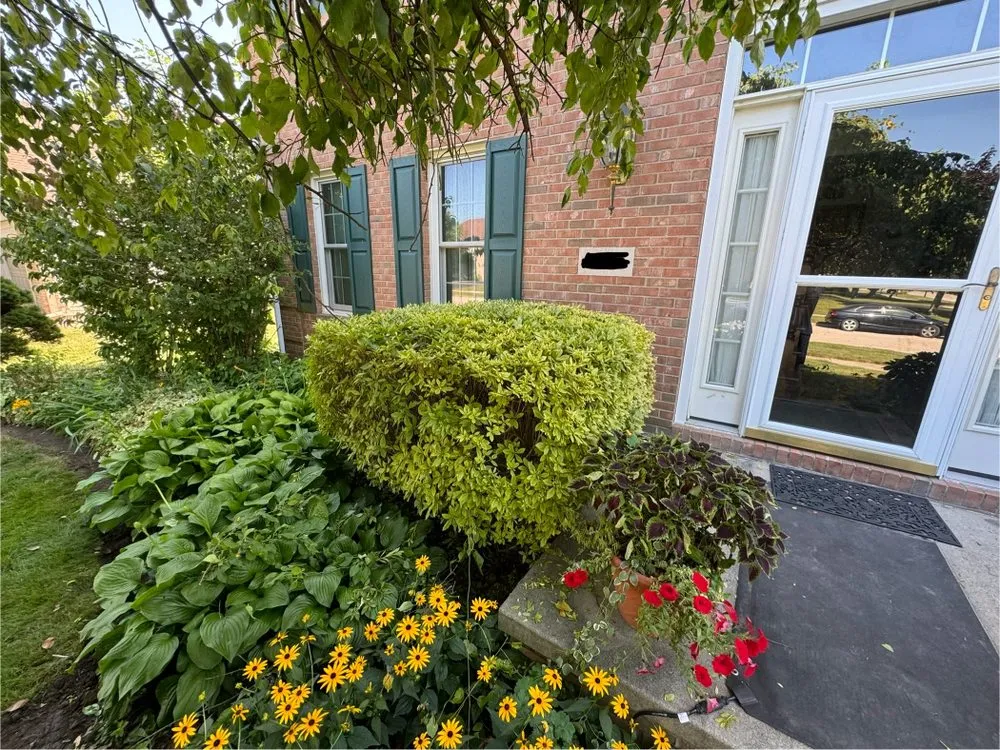 Affordable yard cleanup service for outdoor upgrades across Bowling Green, OH - Landis Tree Removal and Landscaping