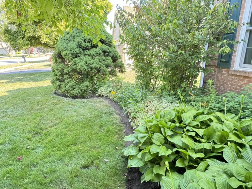 Local outdoor landscaping in Bowling Green, OH - Landis Tree Removal and Landscaping