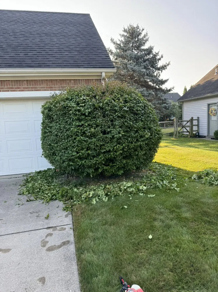 Custom lawn mowing service in Bowling Green, OH by Landis Tree Removal and Landscaping