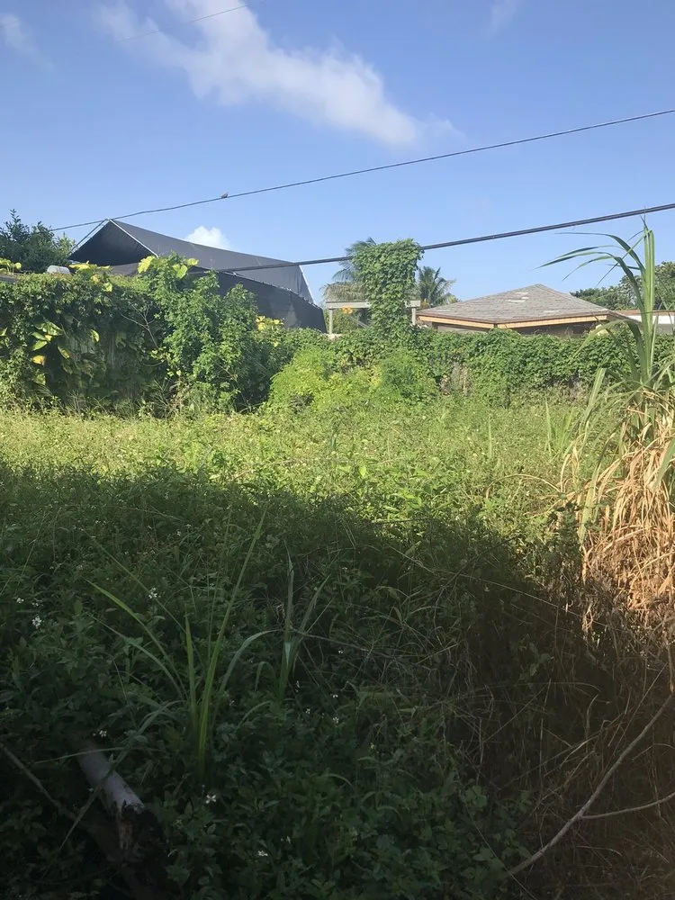 Reliable landscaping services in Palmetto Bay, FL - Landkeepers