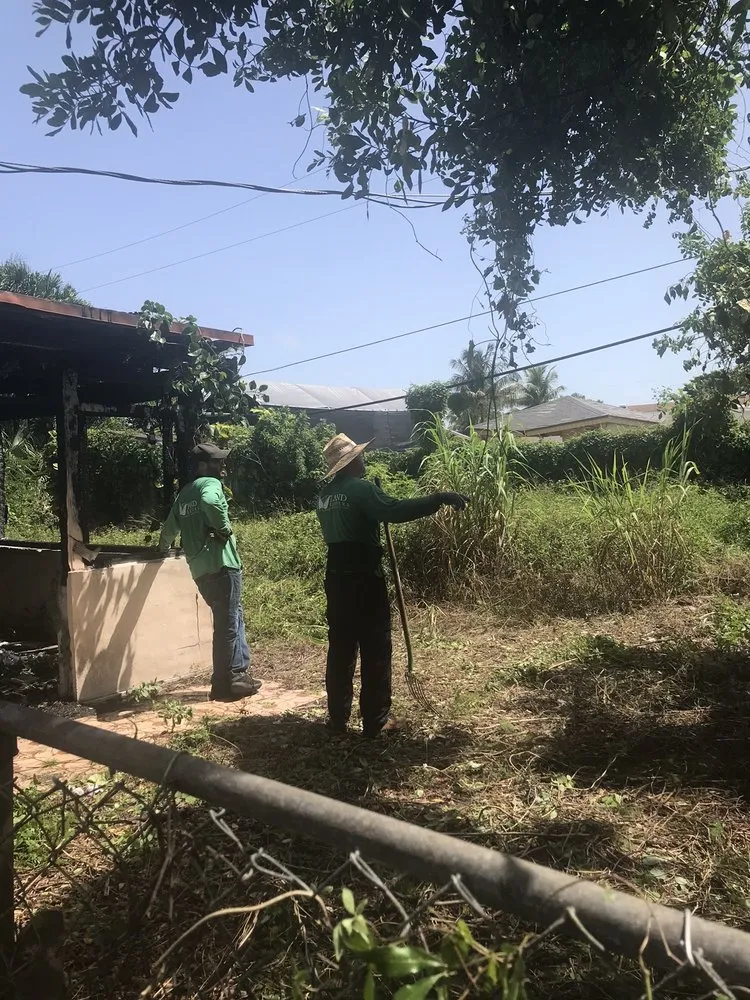 Local landscape installation in Palmetto Bay, FL by Landkeepers