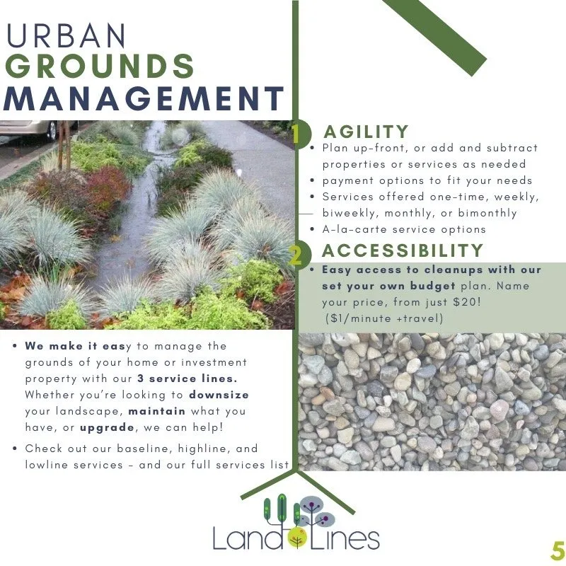 Local lawn care service experts serving Buffalo, NY - LandLines