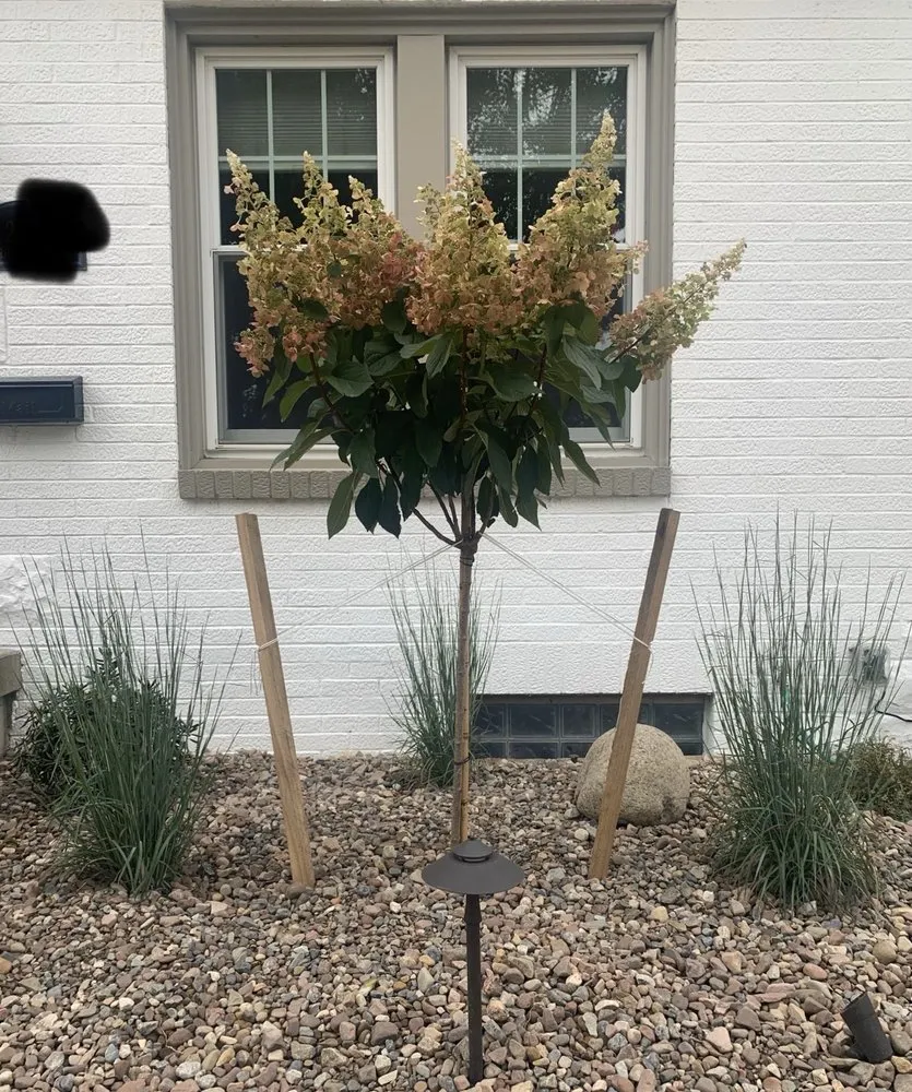 Professional landscaping services near you in Buffalo, NY by LandLines