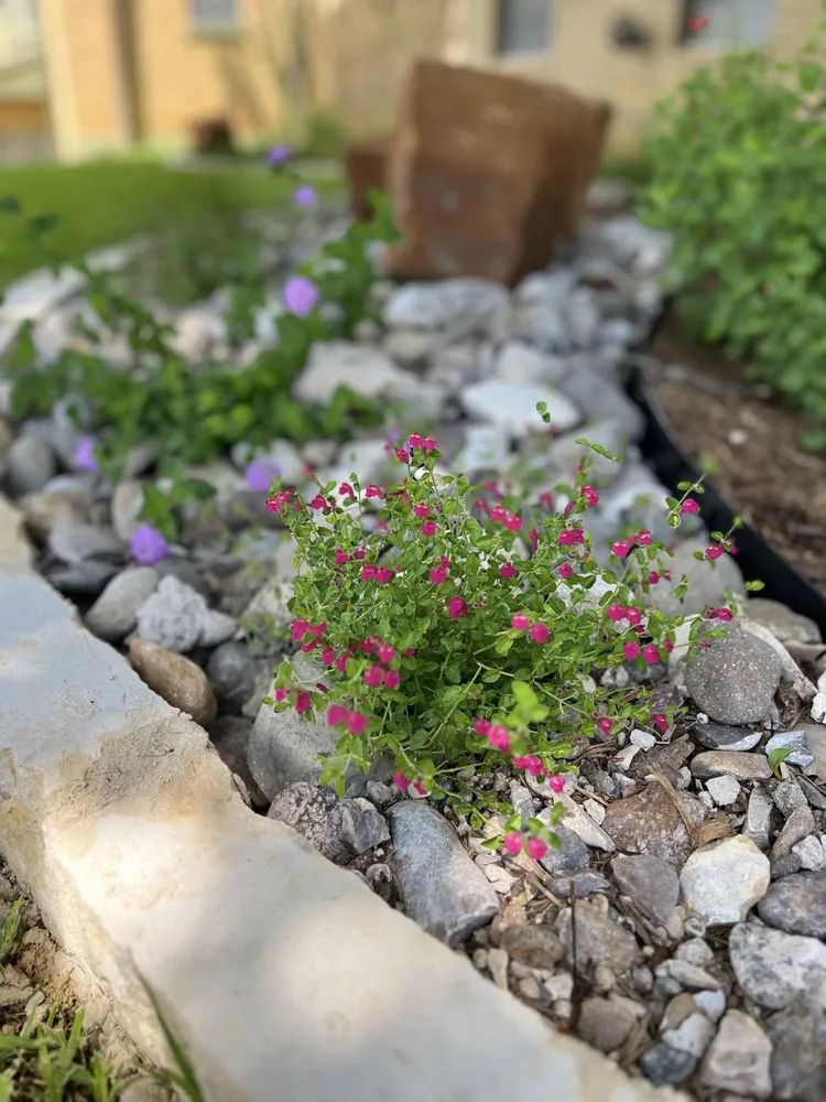 Expert garden landscaping for outdoor upgrades in Floresville, TX by Landloch Studio