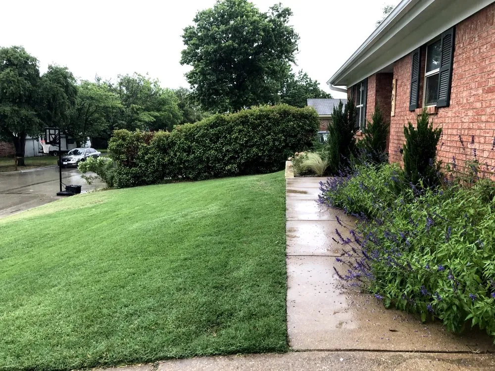 Local garden landscaping experts serving Floresville, TX - Landloch Studio