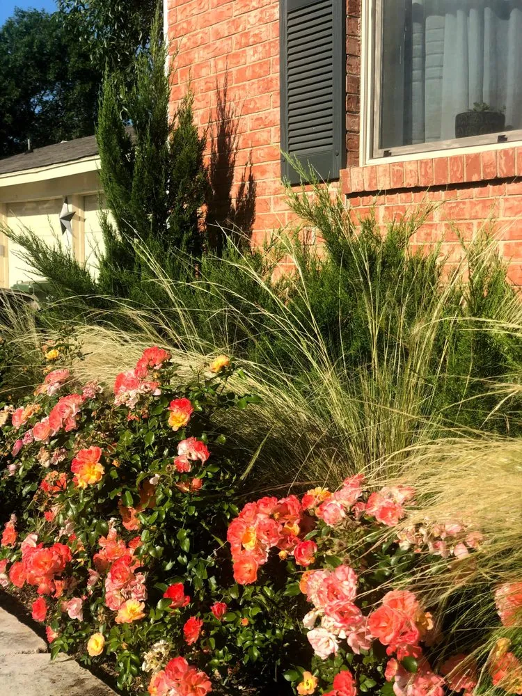 Affordable lawn mowing service in Floresville, TX - Landloch Studio