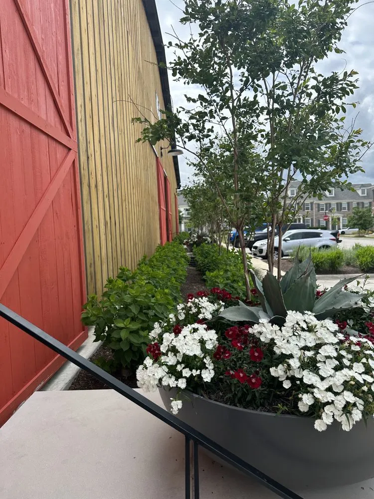 Expert landscaping services experts serving Floresville, TX - Landloch Studio