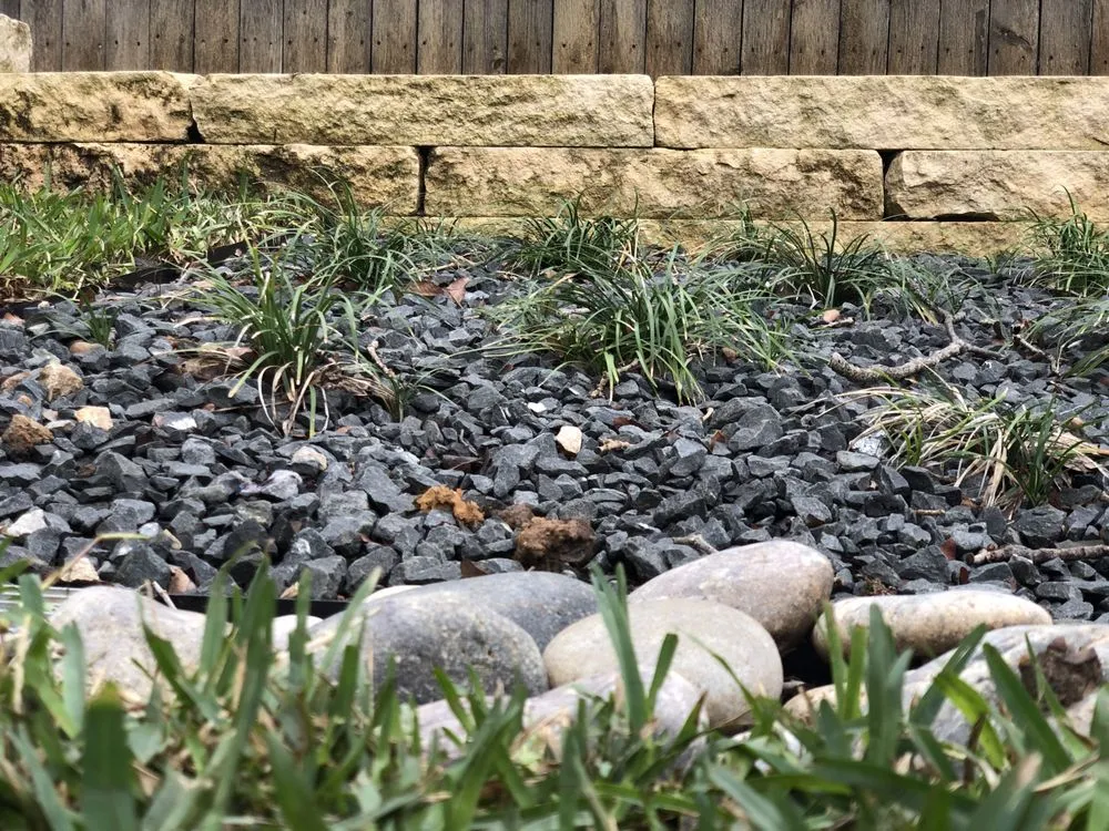 Affordable lawn care service in Floresville, TX - Landloch Studio