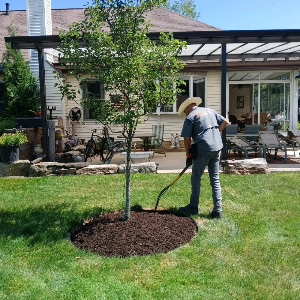 Expert lawn care service in Parma Heights, OH - Landlord
