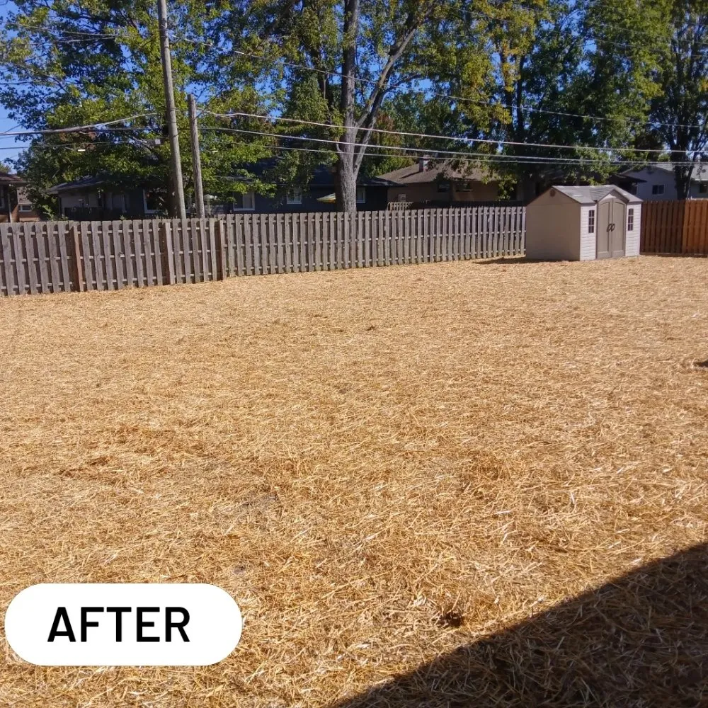 Reliable lawn care service in Parma Heights, OH by Landlord