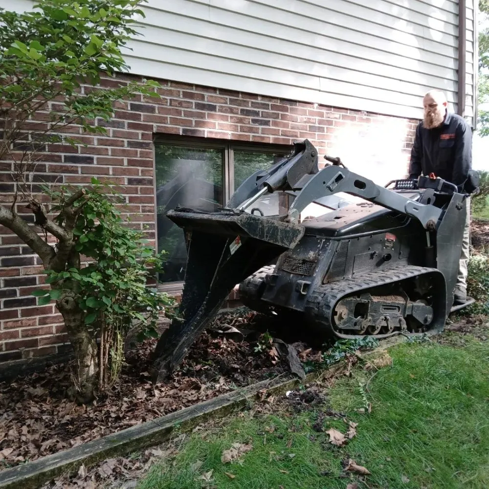 Professional landscaping services in Parma Heights, OH - Landlord