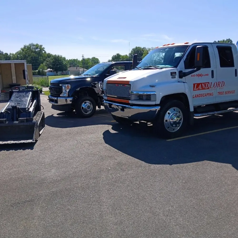 Professional yard cleanup service experts serving Parma Heights, OH - Landlord