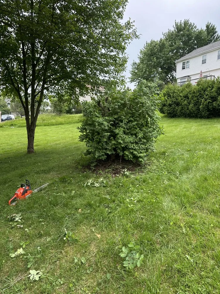 Reliable garden landscaping experts serving South Burlington, VT - Landluxe Property Maintenance