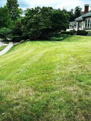 Professional yard cleanup service for year-round maintenance in Cincinnati, OH by Landman Landscaping