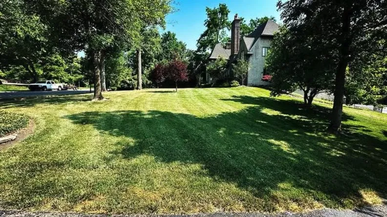 Affordable yard cleanup service in Cincinnati, OH - Landman Landscaping