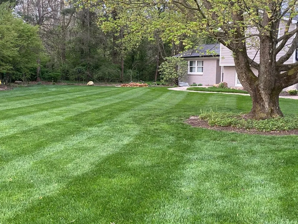 Affordable yard cleanup service for beautiful yards in McCordsville, IN by Landmark DBM