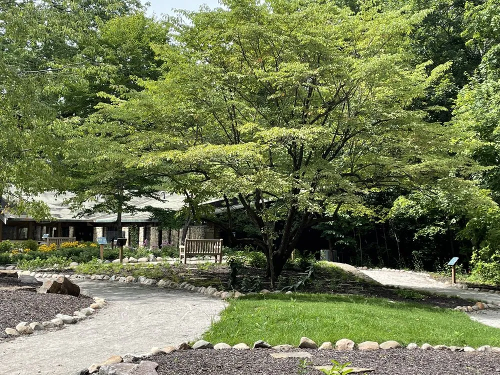 Reliable garden landscaping for residential properties across McCordsville, IN - Landmark DBM