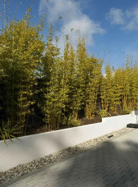 Expert landscape installation experts serving Encinitas, CA - Landmark Design