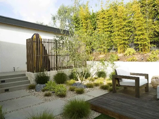 Reliable yard cleanup service in Encinitas, CA - Landmark Design