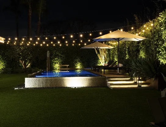 Reliable yard cleanup service for year-round maintenance in Encinitas, CA by Landmark Design