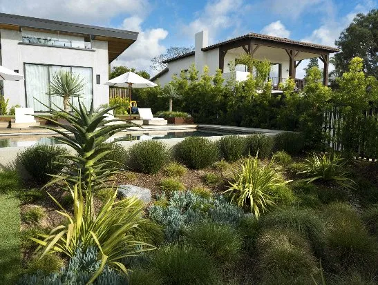 Local lawn care service in Encinitas, CA by Landmark Design
